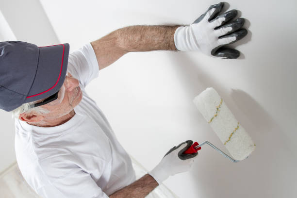 Best Mold Damage Restoration  in Sherwood, AR