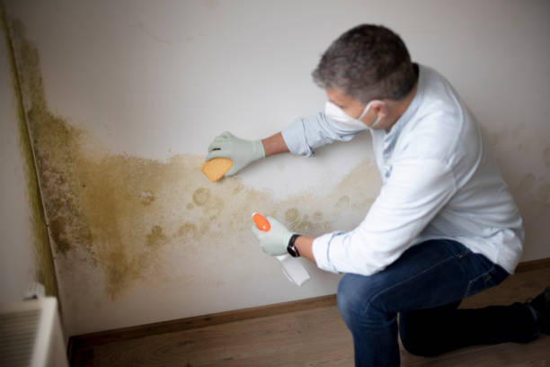 Best Airborne Mold Testing  in Sherwood, AR